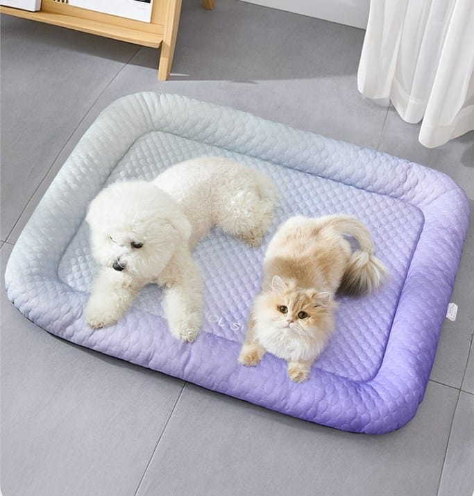 217c9751428f00fe8a4408cde273fd3c