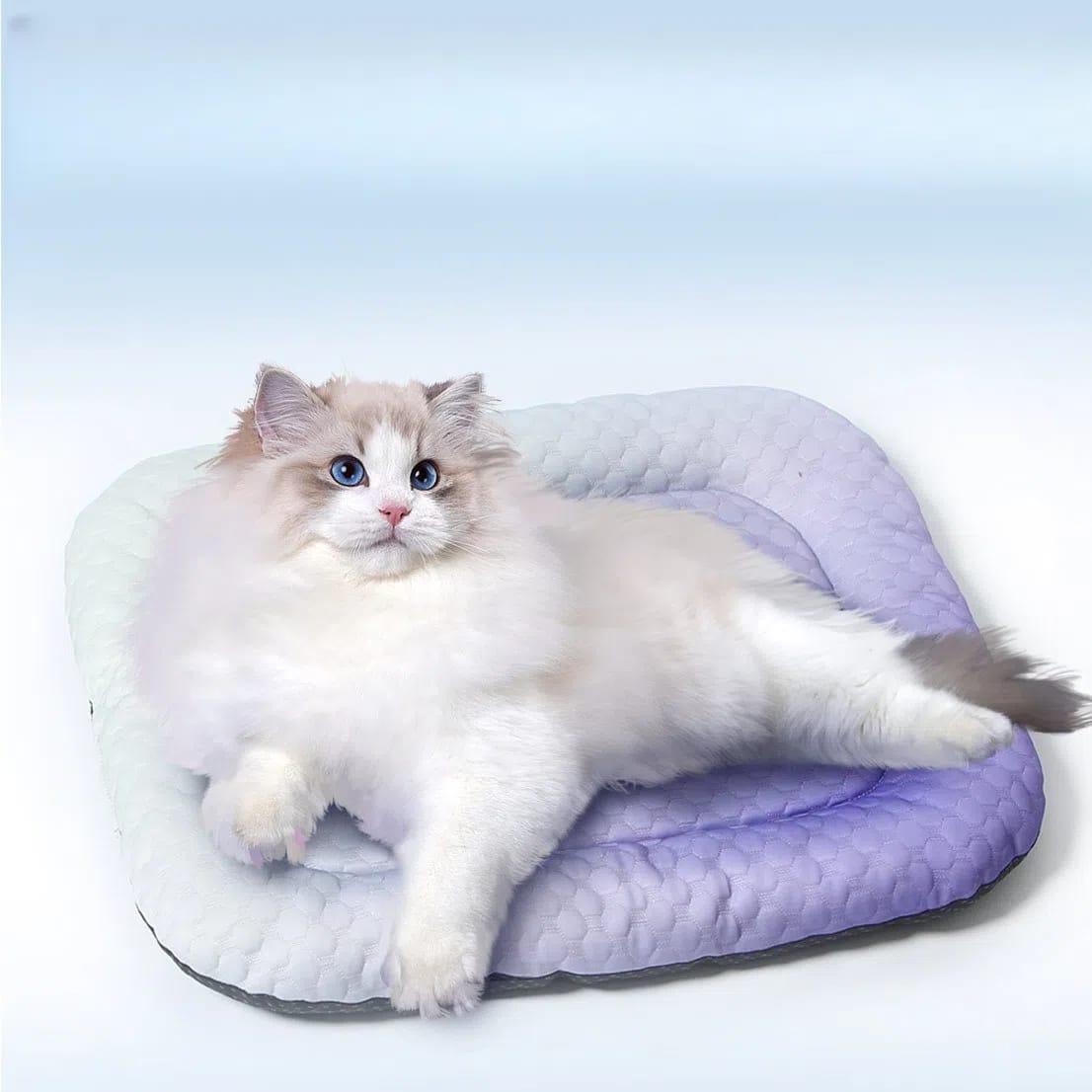 61cc3ef75ab8e5060b91462bde65a91c