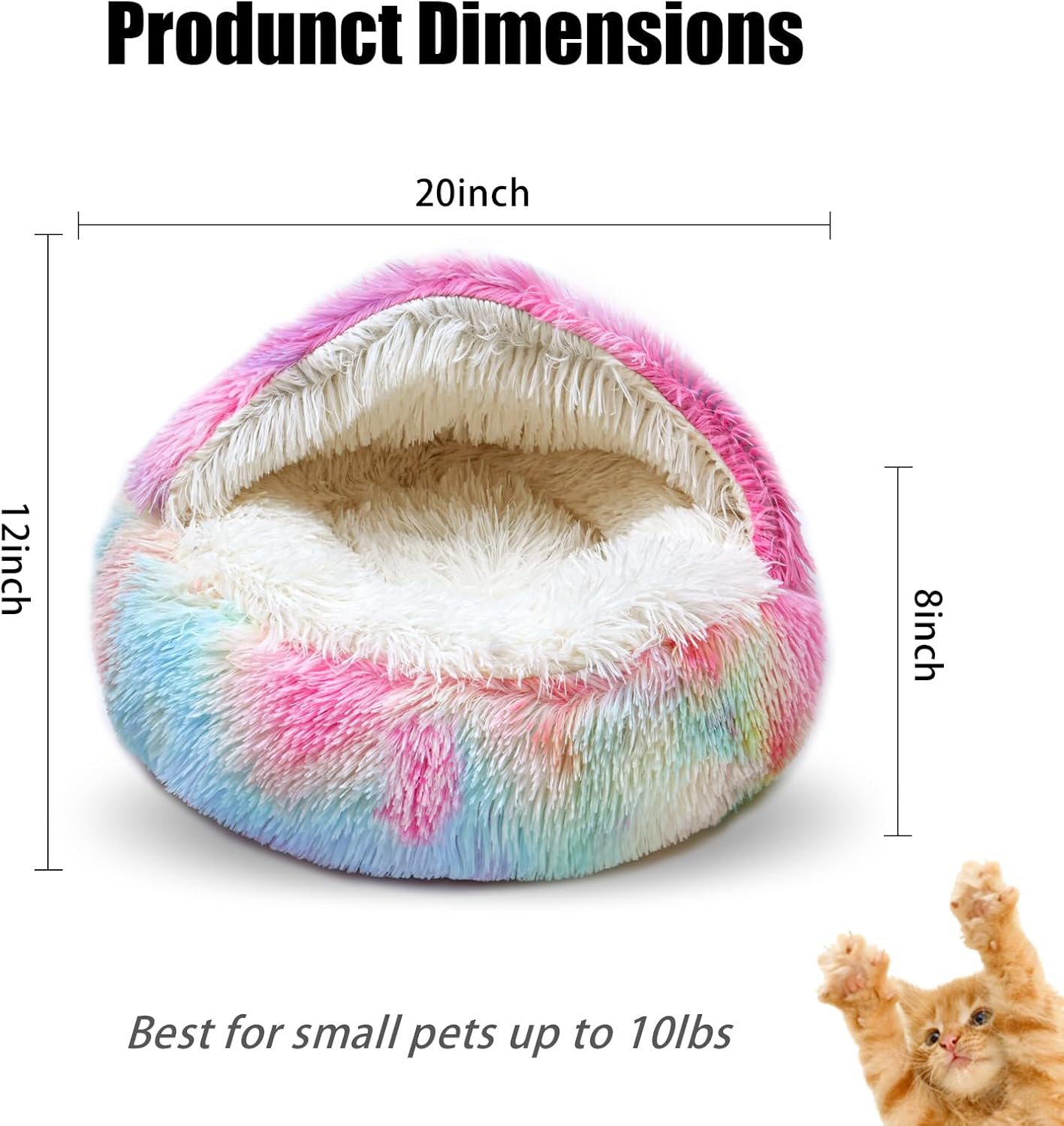 71+229s-jcL._AC_SL1500_