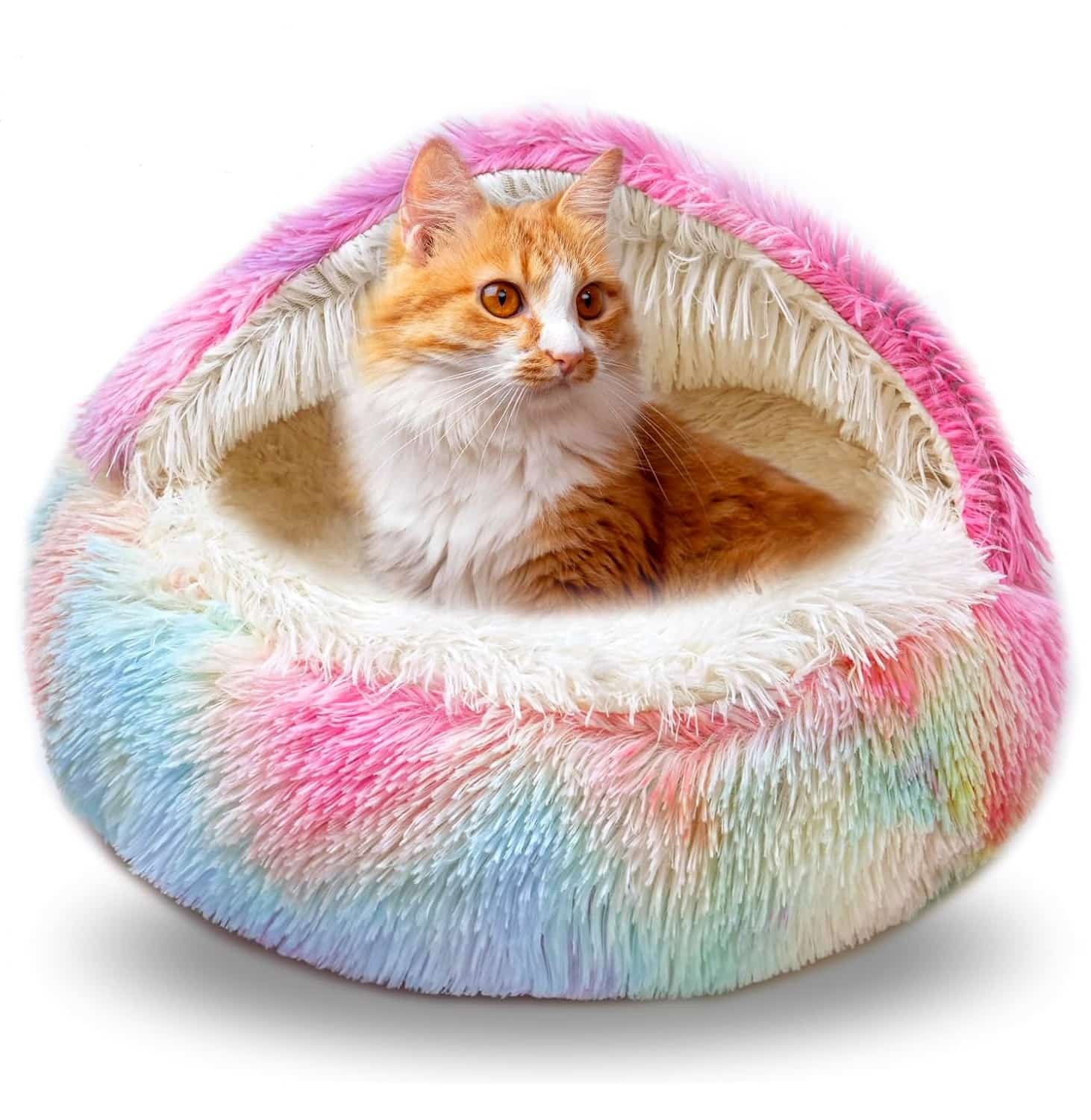 71Kcs+Jfx4L._AC_SL1500_